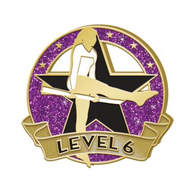 level 6