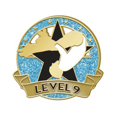 level 9